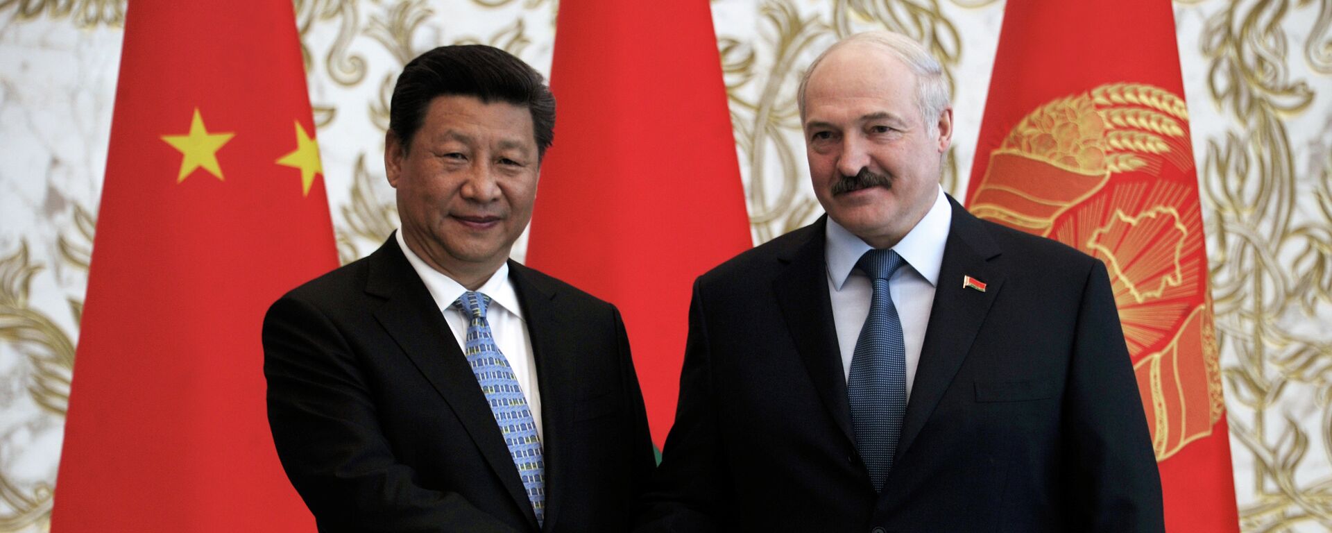 白俄罗斯总统称计划与中国一起为西方国家生产药物 - 俄罗斯卫星通讯社, 1920, 04.11.2022