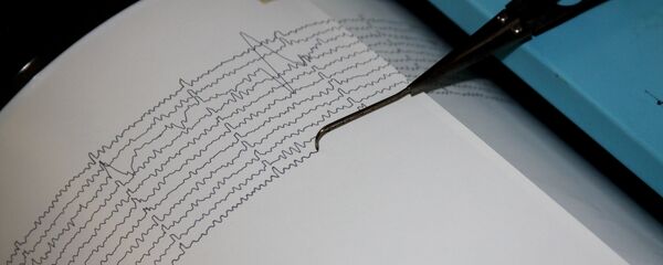 秘鲁和巴西交界发生6.4级地震 - 俄罗斯卫星通讯社