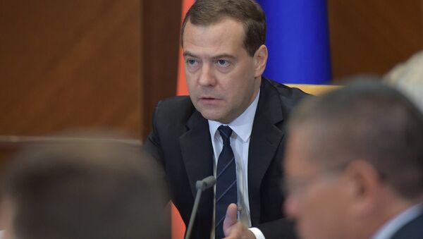 俄总理：欧亚经济联盟国家的政策应考虑到世界经济不稳 - 俄罗斯卫星通讯社