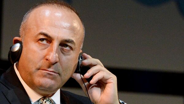 土耳其外长：北约明年峰会应宣布扩员 - 俄罗斯卫星通讯社
