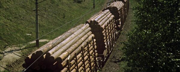 中国拟投资萨哈林岛木材加工工业 中国拟投资萨哈林岛木材加工工业 - 俄罗斯卫星通讯社