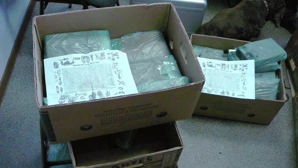 兩名中國公民企圖攜帶裝有20公斤毒品的行軍包進入俄羅斯濱海邊疆區 - 俄羅斯衛星通訊社