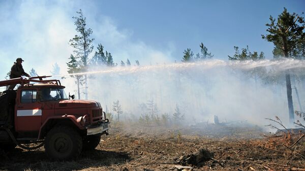  中國林業人員向俄羅斯同仁學習預防森林火災的經驗 - 俄羅斯衛星通訊社