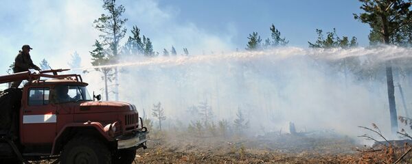  中国林业人员向俄罗斯同仁学习预防森林火灾的经验 - 俄罗斯卫星通讯社