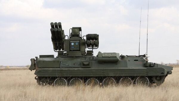 东南亚国家对俄新型防空系统“松树”有兴趣 - 俄罗斯卫星通讯社