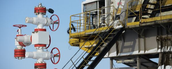 伊朗专家:埃及新天然气产地将不会成为伊朗天然气出口的障碍 伊朗专家:埃及新天然气产地将不会成为伊朗天然气出口的障碍 - 俄罗斯卫星通讯社