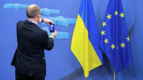 欧盟称不能给乌克兰安全保证 - 俄罗斯卫星通讯社