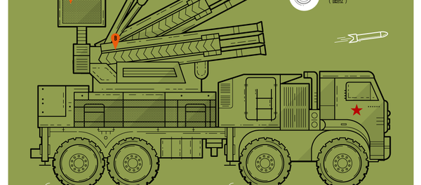 铠甲-S1防空系统 - 俄罗斯卫星通讯社