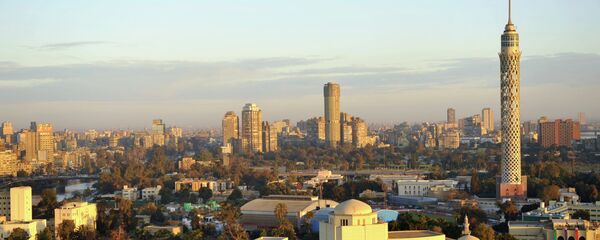 专家：中埃两国经济合作有着高度的切合性 - 俄罗斯卫星通讯社