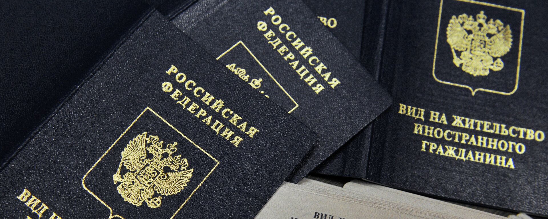   俄移民局：每天至少有500名烏公民申請在俄避難 - 俄羅斯衛星通訊社, 1920, 22.04.2021