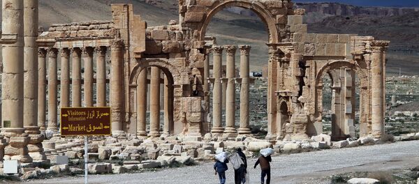 巴尔米拉 - 俄罗斯卫星通讯社