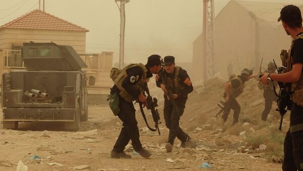 伊拉克副总理痛斥由美国训练的伊政府军 - 俄罗斯卫星通讯社