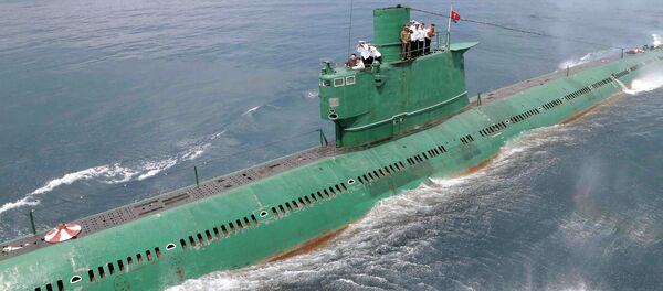 分析人士：朝鲜潜射导弹试射视频系造假 - 俄罗斯卫星通讯社