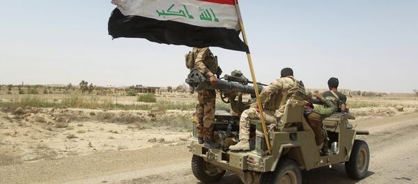 伊拉克内务部长:伊方希望获得俄罗斯的武器弹药来对抗“伊斯兰国” 伊拉克内务部长:伊方希望获得俄罗斯的武器弹药来对抗“伊斯兰国” - 俄罗斯卫星通讯社