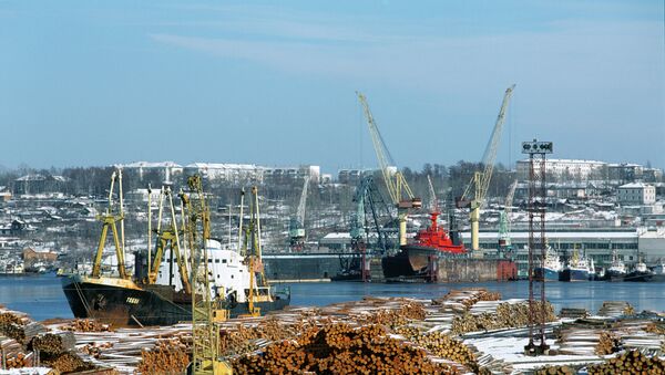 新加坡企業計劃投資俄太平洋沿岸港口 - 俄羅斯衛星通訊社