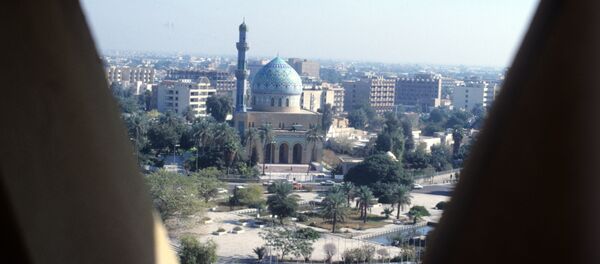 媒体：“伊斯兰国”用萨达姆行宫进行人体器官非法交易 - 俄罗斯卫星通讯社