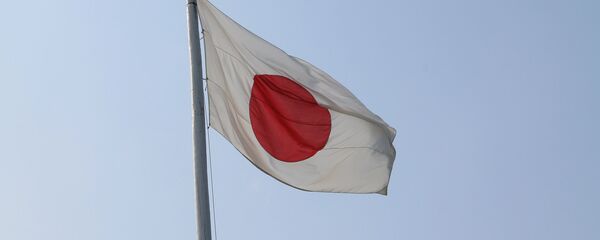 媒体：日本为解决千岛问题拟与俄罗斯开展全面合作 - 俄罗斯卫星通讯社