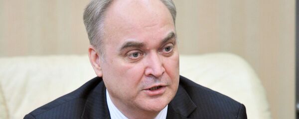 俄日副防长讨论了双边合作前景和地区安全问题 - 俄罗斯卫星通讯社