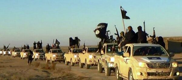 伊拉克央行：自2014年“伊斯兰国”武装分子从伊拉克银行盗取超过8.3亿美元 - 俄罗斯卫星通讯社