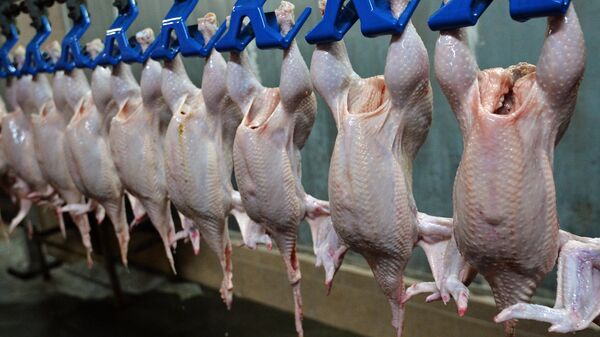 俄国家养禽者联盟：第一季度禽肉出口增长50%4月增长20%  - 俄罗斯卫星通讯社