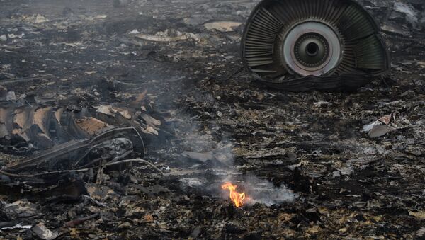 顿涅茨克人民共和国声明与波音777空难无关 - 俄罗斯卫星通讯社