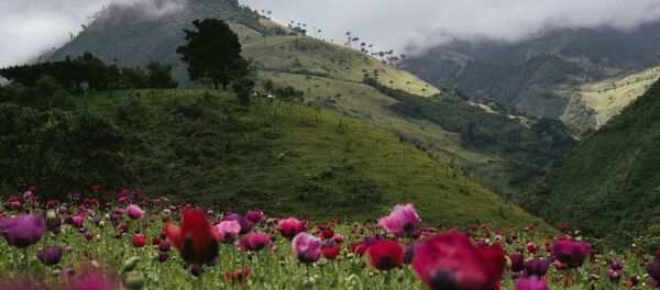 俄罗斯选出最佳青年摄影师 俄罗斯选出最佳青年摄影师 - 俄罗斯卫星通讯社