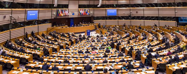 俄常驻欧盟代表:希望以常识解决进入欧洲议会的问题 俄常驻欧盟代表:希望以常识解决进入欧洲议会的问题 - 俄罗斯卫星通讯社