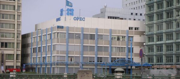  石油输出国组织呼吁所有石油开采国进行对话 - 俄罗斯卫星通讯社