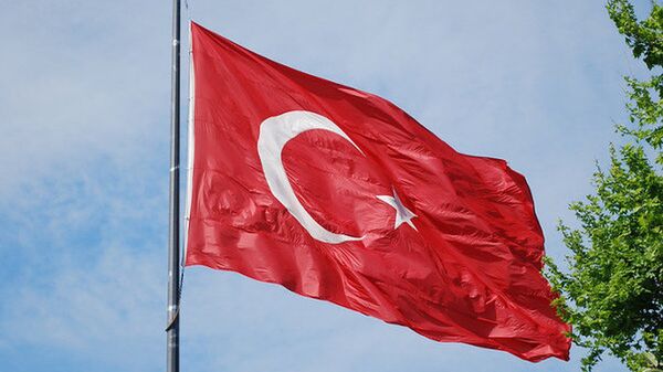  土耳其国旗 - 俄罗斯卫星通讯社