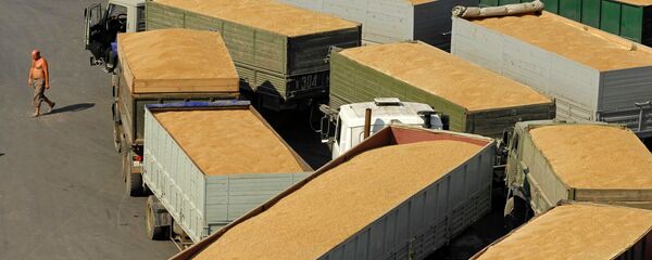 俄动植物卫生监督局：2016年对华谷物出口或达百万吨 - 俄罗斯卫星通讯社