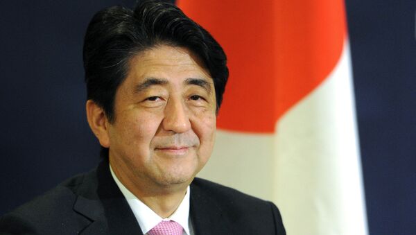 日首相：日本应对宪法进行必要修改 - 俄罗斯卫星通讯社