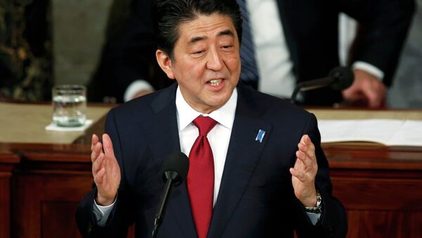 日本首相表示有意与俄罗斯解决领土问题 - 俄罗斯卫星通讯社