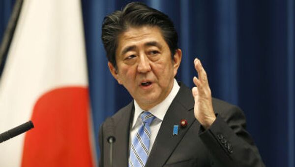 日本首相打算就领土问题继续与俄谈判 - 俄罗斯卫星通讯社