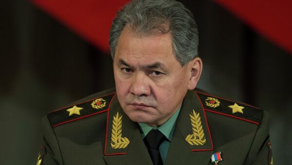 俄国防部长主张在东盟框架内发展对话 - 俄罗斯卫星通讯社