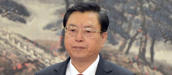 张德江：金砖国家议会论坛为成员国提供合作机会 - 俄罗斯卫星通讯社