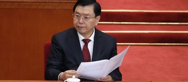 张德江 - 俄罗斯卫星通讯社