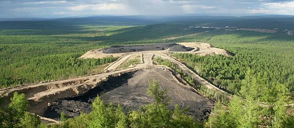 梅切爾 - 俄羅斯衛星通訊社