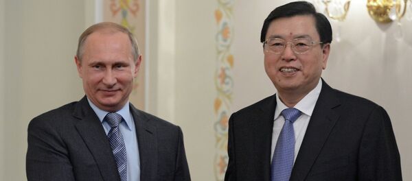 普京积极评价张德江访俄 - 俄罗斯卫星通讯社