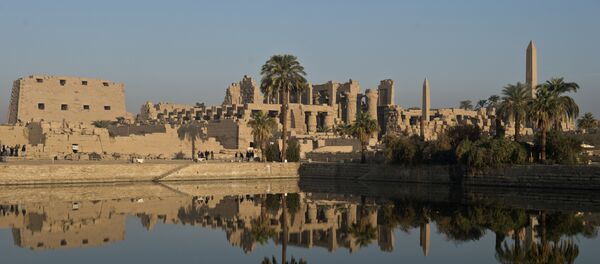 埃及旅游协会希望旅游业今年能恢复到危机前水平 - 俄罗斯卫星通讯社