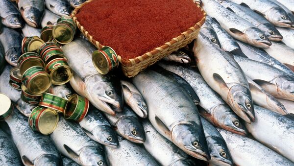 日本將大量減少俄專屬經濟區鮭魚捕撈量 - 俄羅斯衛星通訊社