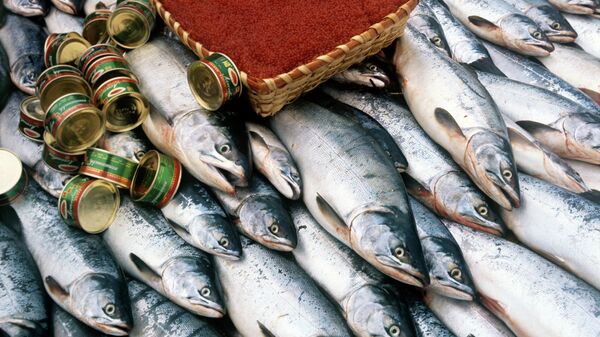 日本将大量减少俄专属经济区鲑鱼捕捞量 - 俄罗斯卫星通讯社