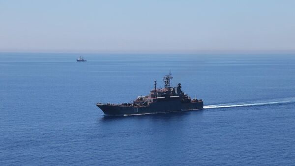 伊朗在印度洋开始大规模海军演习 - 俄罗斯卫星通讯社