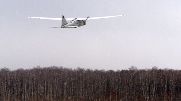 無人機開始巡邏楚科奇沿海地區 - 俄羅斯衛星通訊社