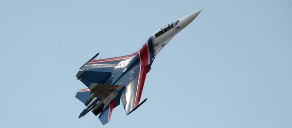 俄空军苏-27战机 - 俄罗斯卫星通讯社