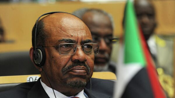 前苏丹总统奥马尔•巴希尔 - 俄罗斯卫星通讯社