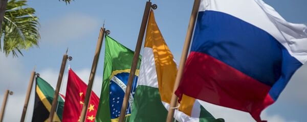 專家：果阿峰會應檢驗金磚國家經濟夥伴戰略落實情況 - 俄羅斯衛星通訊社