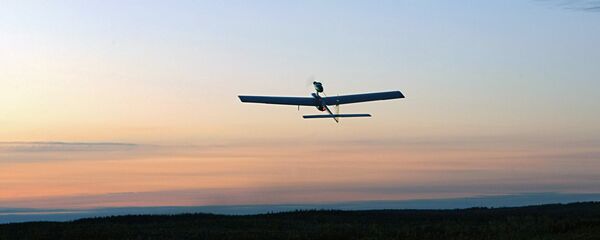 无人机飞行 无人机飞行 - 俄罗斯卫星通讯社