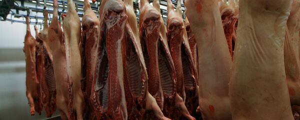 普京:中国市场在实施对非洲猪瘟的综合措施后或对俄猪肉开放 普京:中国市场在实施对非洲猪瘟的综合措施后或对俄猪肉开放 - 俄罗斯卫星通讯社