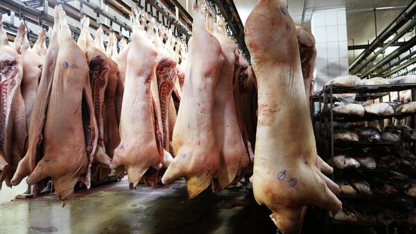 俄罗斯存在向中国供应猪肉的潜力但做到这点会很难 - 俄罗斯卫星通讯社