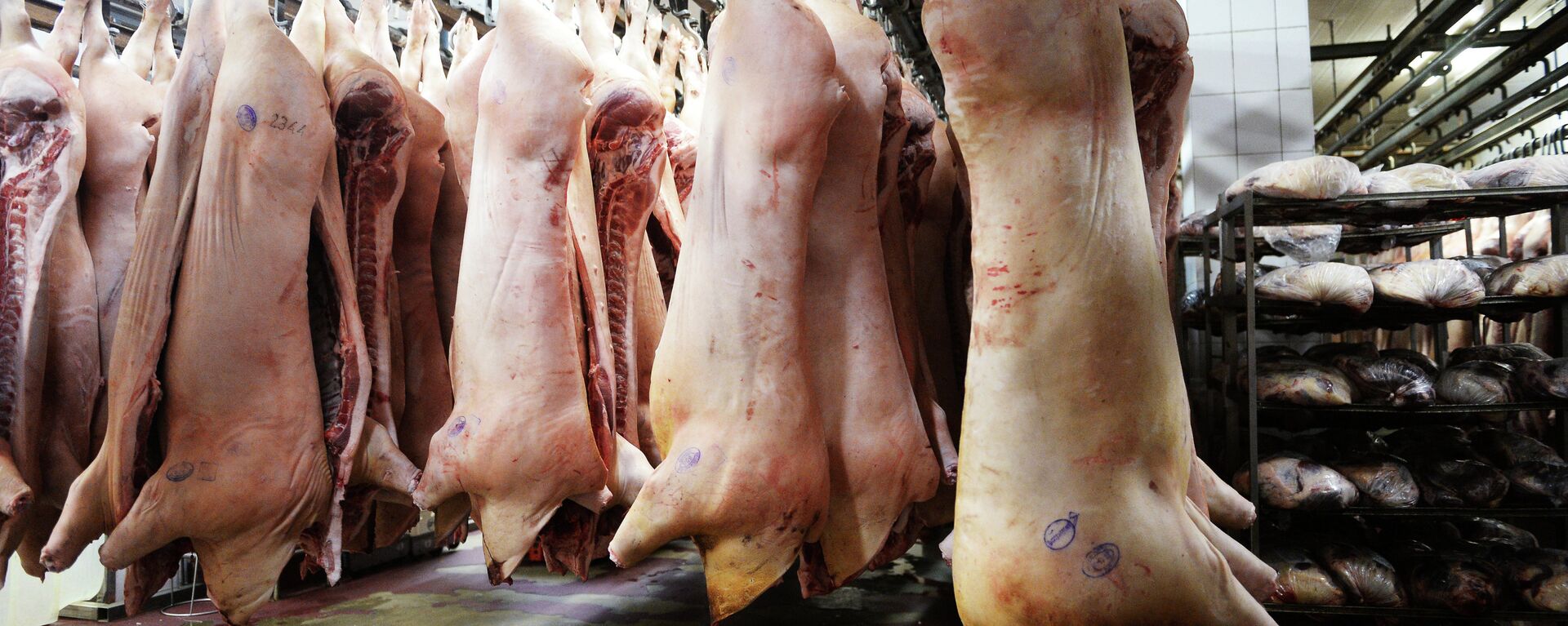 俄机构：俄罗斯猪肉出口中国问题取得的进展 - 俄罗斯卫星通讯社, 1920, 28.09.2023